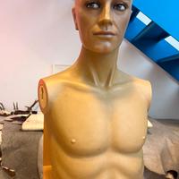 Manichino mezzobusto uomo