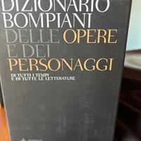 Libri  Raccolta Dizionario