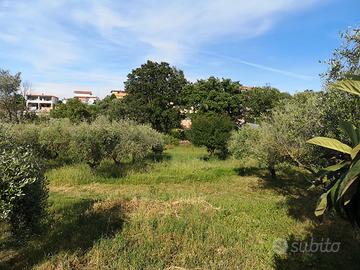 Terreno agricolo