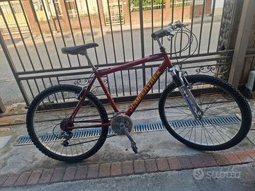 Bicicletta Mountain Bike