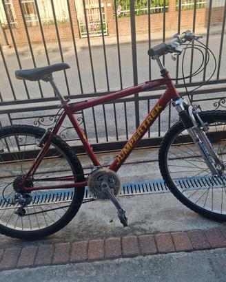 Bicicletta Mountain Bike