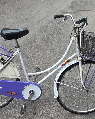 bici viola