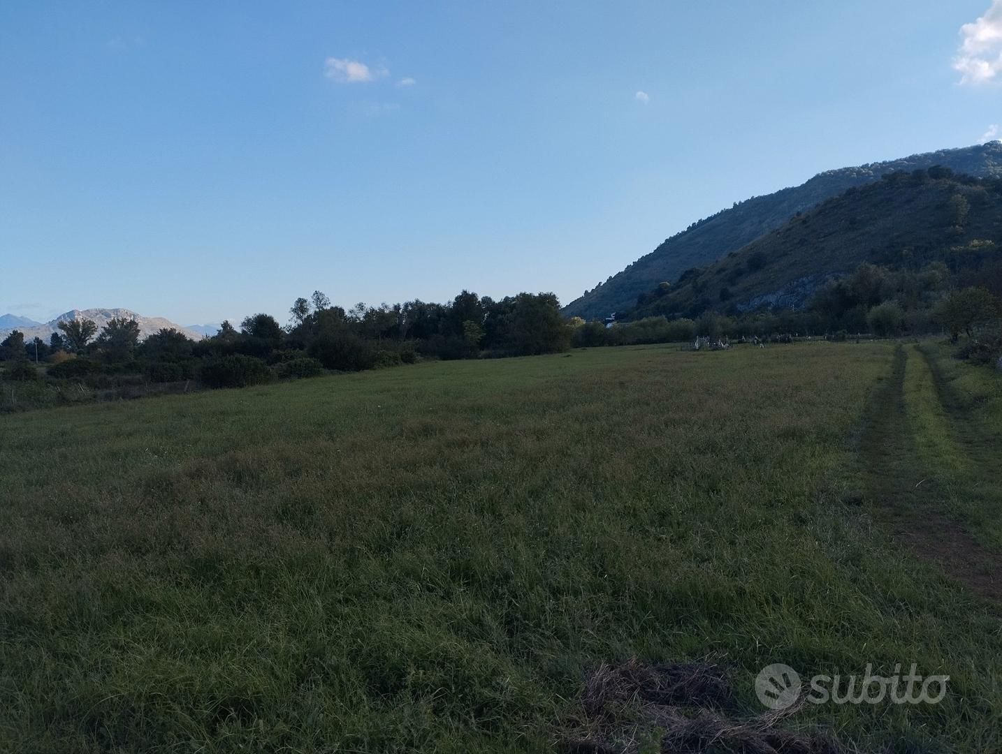 Terreno agricolo località caira 4000 mq - Vista 5