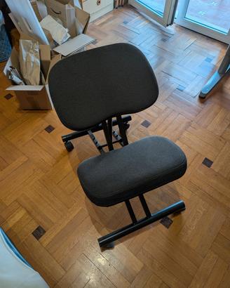 sedia ergonomica 