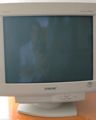 Monitor per PC Sony trinitron multiscan 210ES