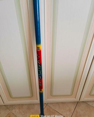 Canna da pesca da punta 