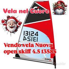 Vela Open Skiff  4.5