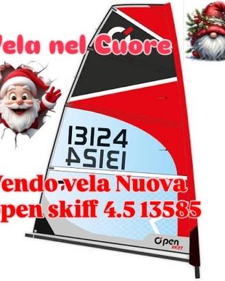 Vela Open Skiff  4.5