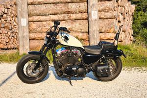 Harley Davidson Forty Eight 