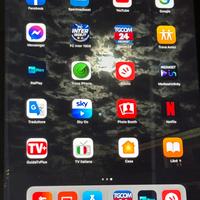 Apple iPad iOS 18.1 ✅ 🍏