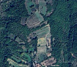 Terreno seminitavo bosco e oliveto