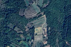 Terreno seminitavo bosco e oliveto