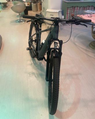 Bici elettrica Leecougan