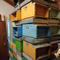 arnie  per apicoltura