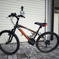 Bicicletta