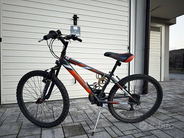 Bicicletta