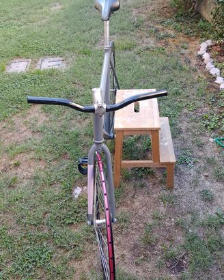 bici fixed