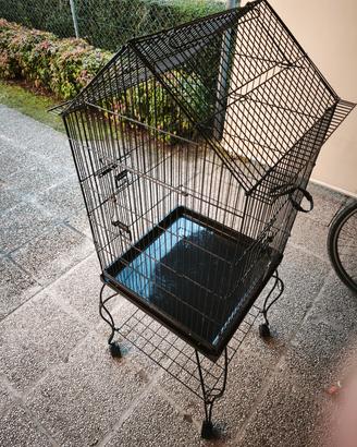 Gabbia per pappagalli 