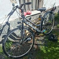 bicicletta da passeggio