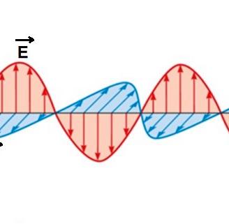 ripetizioni di MATEMATICA e FISICA