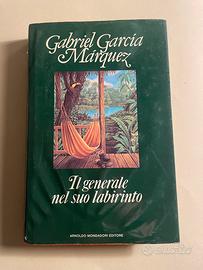 Garcia Marquez, Il generale nel suo labirinto