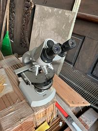 Microscopio Zeiss