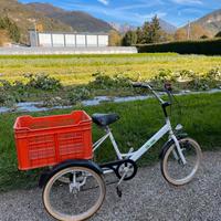 Bicicletta a tre ruote