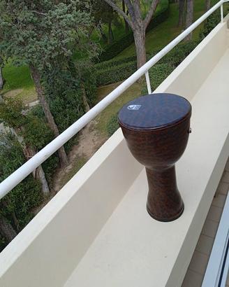 Djembè 60 cm Toca percussioni