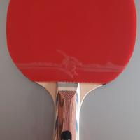 Racchette da ping pong tennis tavolo Garlando 