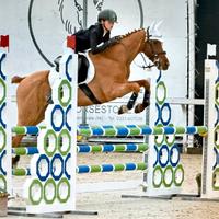 Pony anno 2009