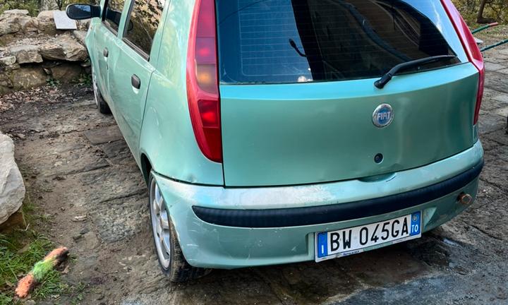 Fiat punto