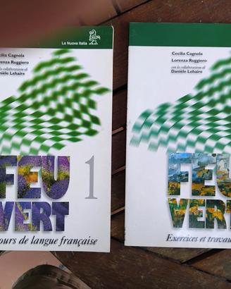 Feu Vert 1 (in due volumi) di Cecilia Cagnola, Lor