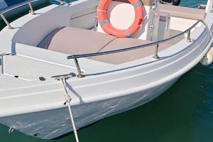 VIESTE Barca con motore Mercury 40 CV