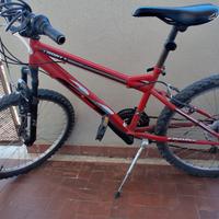 bici mtb 24