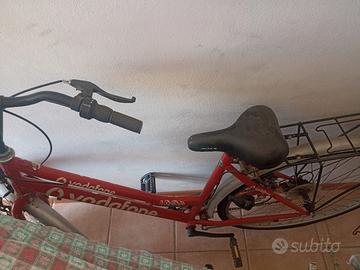 bicicletta donna 