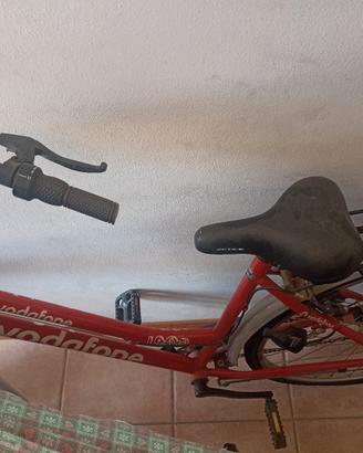 bicicletta donna 