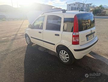 Panda colore bianco benzina/gpl