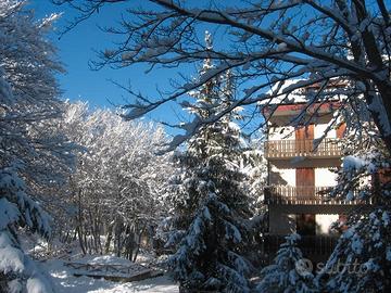 Attico con mansarda e balcone