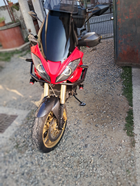 Triumph tiger 1050 2007