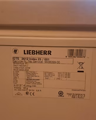 FREEZER A POZZETTO 242 LT