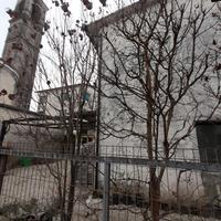 piante di cornus florida e lageostroemia