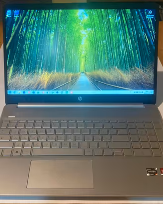 Computer Portatile Hp Ryzen 5 5500u Eccellente 15"