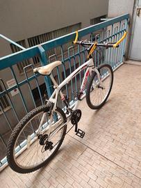 MTB FREJUS .