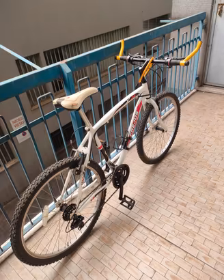 MTB FREJUS .