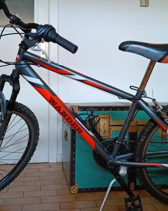 Bicicletta Wander Stark