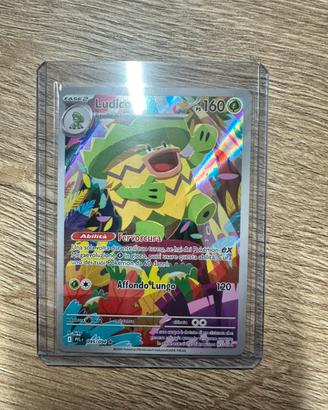 Ludicolo illustrazione Rara Near Mint Pokemon