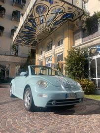 MAGGIOLINO NEW Beetle