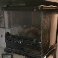 terrario exoterra 20x20x20 con sfondo 3d nuovo