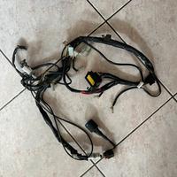 Impianto elettrico 50cc