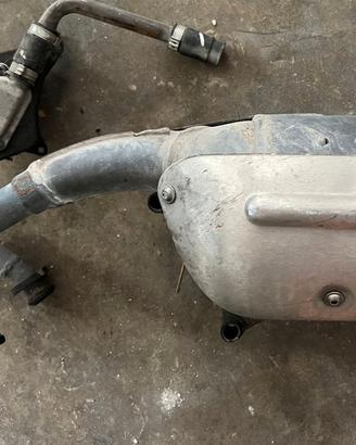 Marmitta Scarabeo 50